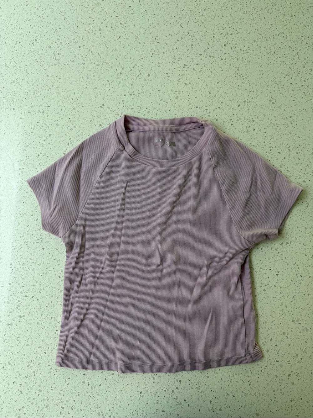 Aerie Women's Ribbed Short-Sleeve Crop Top - Dusty Lavender